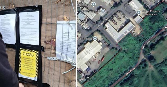 Tweet card summary image