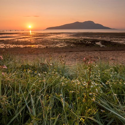 Tweet card summary image