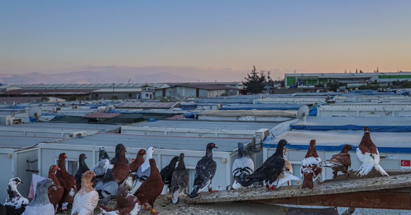 Tweet card summary image