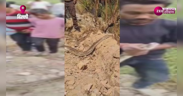 ZeeDNHNews's tweet card. Delhi Python Video: दिल्ली के NTPC बदरपुर में गुरुवार दोपहर को एक विशाल अजगर दिखाई दिया, जिसे बच्चे पत्थर मारकर तंग कर रहे थे. वहीं स्थानीय समाज सेवी पवन ठाकुर, अध्यक्ष युवा शक्ति मोर्चा, गौतमपुरी ने...