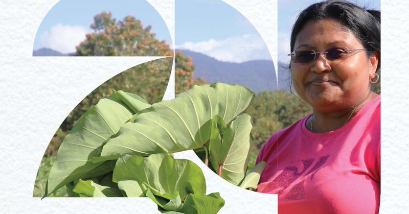 Tweet card summary image