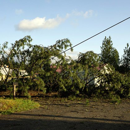 Tweet card summary image