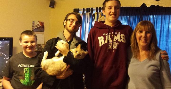 Tweet card summary image