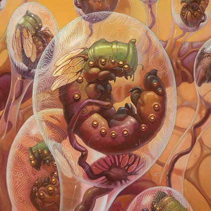 Tweet card summary image