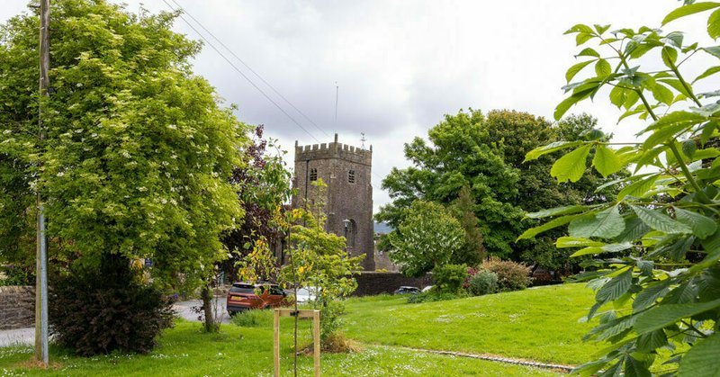 Tweet card summary image