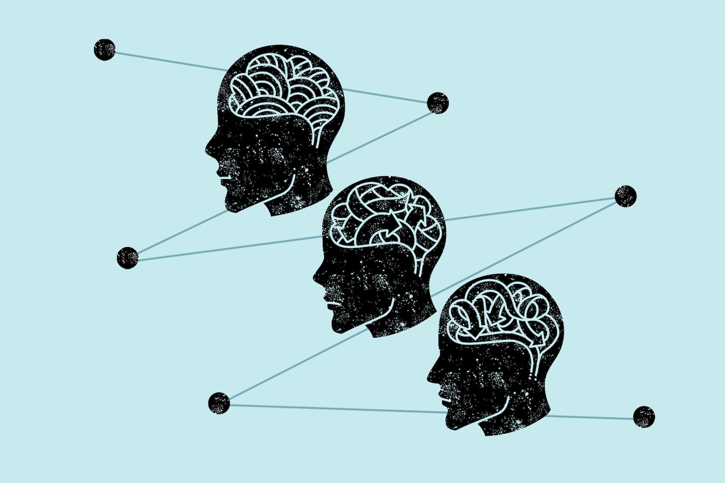 washingtonpost's tweet card. New research finds that brain development is not linear. There are distinct phases with unique characteristics.