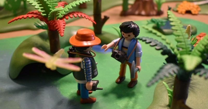 Tweet card summary image