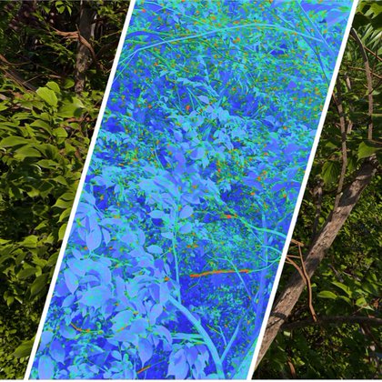 Tweet card summary image