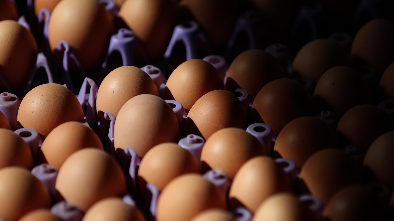 ABC's tweet card. Egg prices are predicted to increase by 41.1% in 2025, according to a report released by the Department of Agriculture on Tuesday.