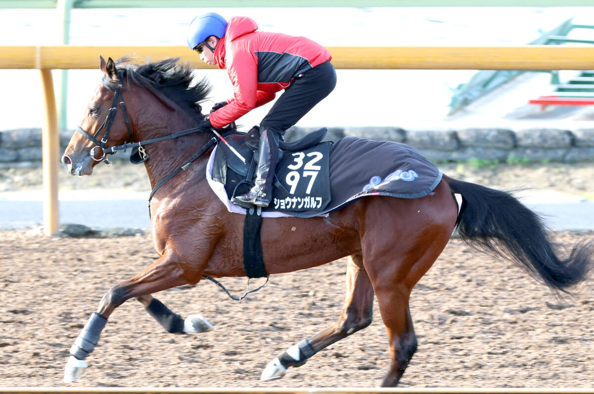 Hochi_Yamatake's tweet card. 　こんにちは、山本です。今日は栗東からのパッチパチ。ではでは、行ってみましょうか♪