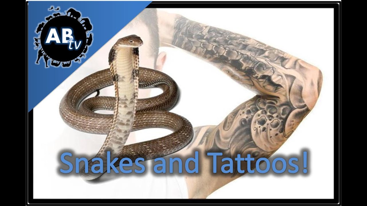 ThePythonHunter's tweet card. Snakes and Tattoos! SnakeBytesTV :AnimalBytesTV