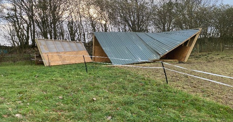 Tweet card summary image