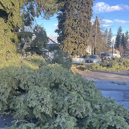 Tweet card summary image