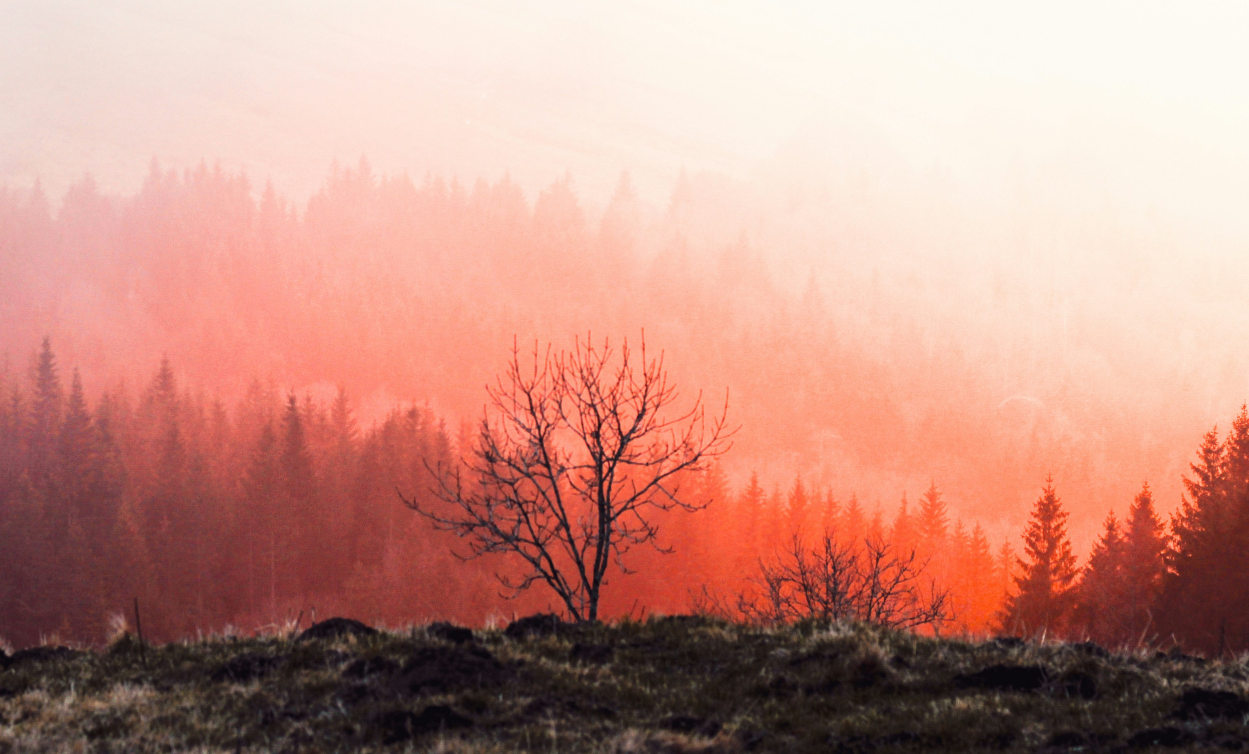 PolPhilPod's tweet card. Gabriele Badano & Alasia Nuti on Rawls, religion, the reasonable & unreasonable, and what are our obligations when liberal democracy is under threat? Do we have a duty to try and persuade people out...