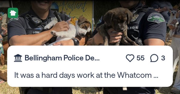 Image for twitter card