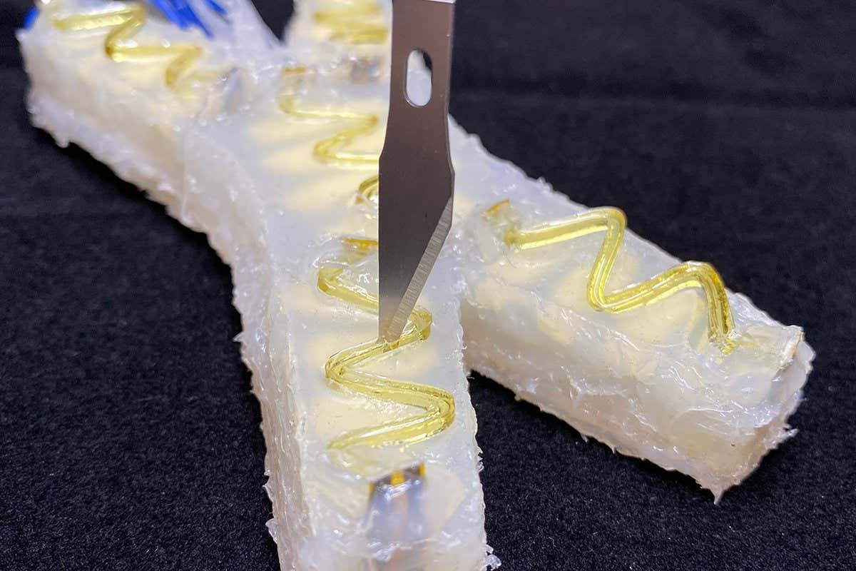 newscientist's tweet card. A simple robot has sensors that can detect when they are damaged, stop the robot, self-heal and instruct the robot to start moving again