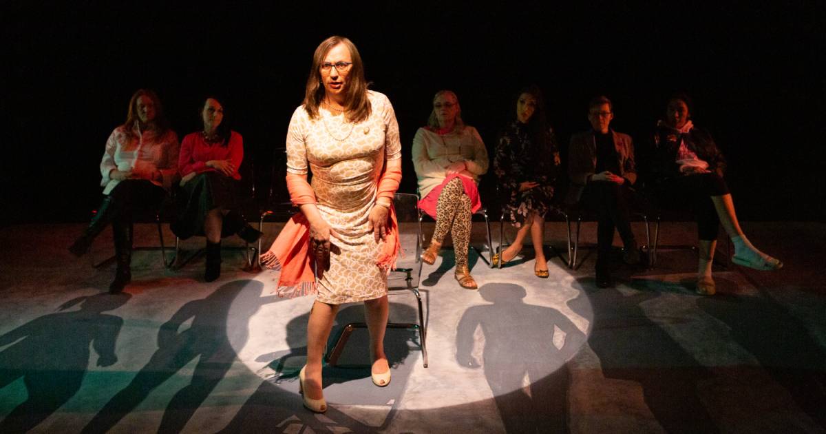 TransScripts's tweet card. The cast gives an authentic, emotional recounting of hurt, humour, and hormone pills in the transgender community.