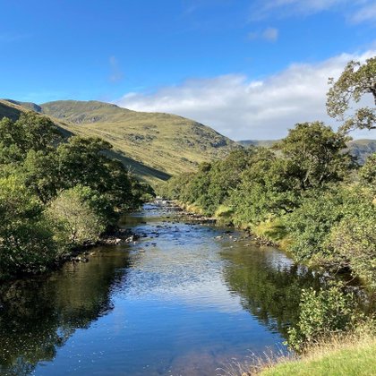 Tweet card summary image