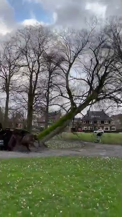 markranenburg's tweet card. Door het oog van de naald - Storm Eunice #Storm #Eunice #Apeldoorn...