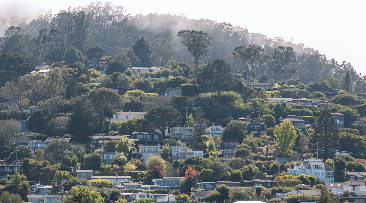 thetechtrib's tweet card. The Tech Tribune staff has compiled the very best tech startups in Sausalito, California. In doing our research, we considered