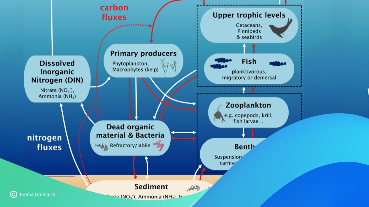 StrathMathStat's tweet card. The carbon cycle in the ocean is intrinsically linked to cycles of other elements, namely nitrogen and phosphate, especially in the biosphere. Carbon, nitrogen and phosphate constitute the main...