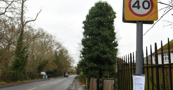 Tweet card summary image