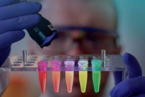 nipclaw's tweet card. Runcorn group is evaluating next steps with legal counsel and will update shareholders when possible