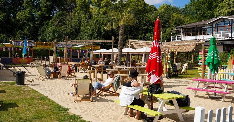 Tweet card summary image