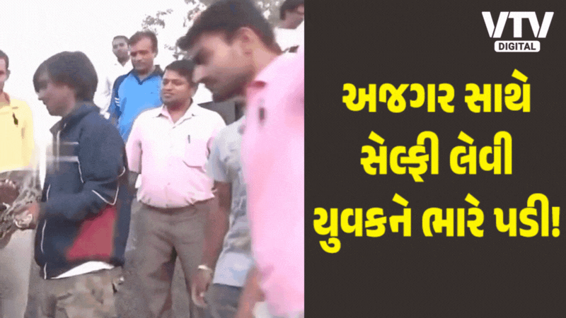 VtvGujarati's tweet card. Viral Video: અજગરે સેલ્ફી લેવા ગયેલા એક વ્યક્તિ પર હુમલો કરી દીધો. અજગરને ટાઈટ પકડી રાખ્યો હોવા છતાં પણ તેને હુમલો કરી દીધો. વીડિયો જોઇને તમે પણ ડરી જશો.