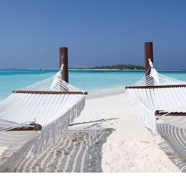 Tweet card summary image