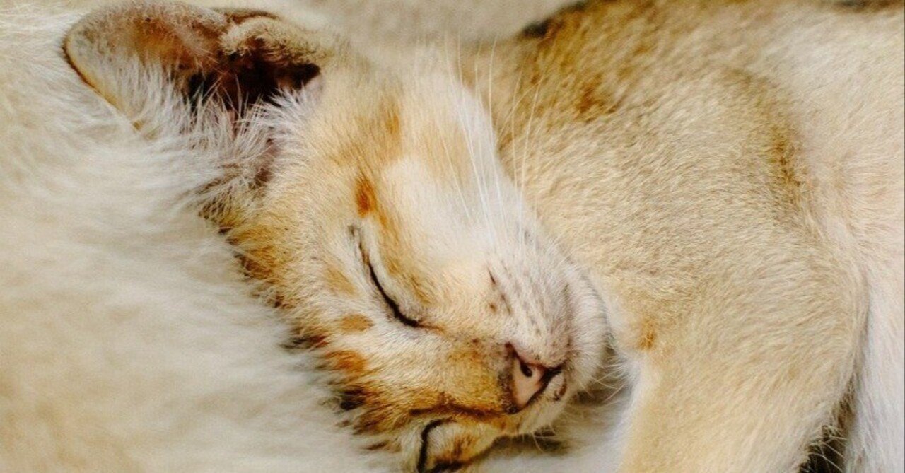 yamast_news's tweet card. はじめに：「自律型AI」がもたらす未来と本書の目的 近年、人工知能（AI）の進化は目覚ましく、特に大規模言語モデル（LLM）の登場は、AIの応用範囲を劇的に拡大させました。しかし、単一のLLMが複雑な現実世界のタスクを完遂するには限界があります。そこで注目されているのが、AIエージェントという概念です。AIエージェントは、環境を認識し、計画を立て、行動し、目標を達成するために自律的に動作する...