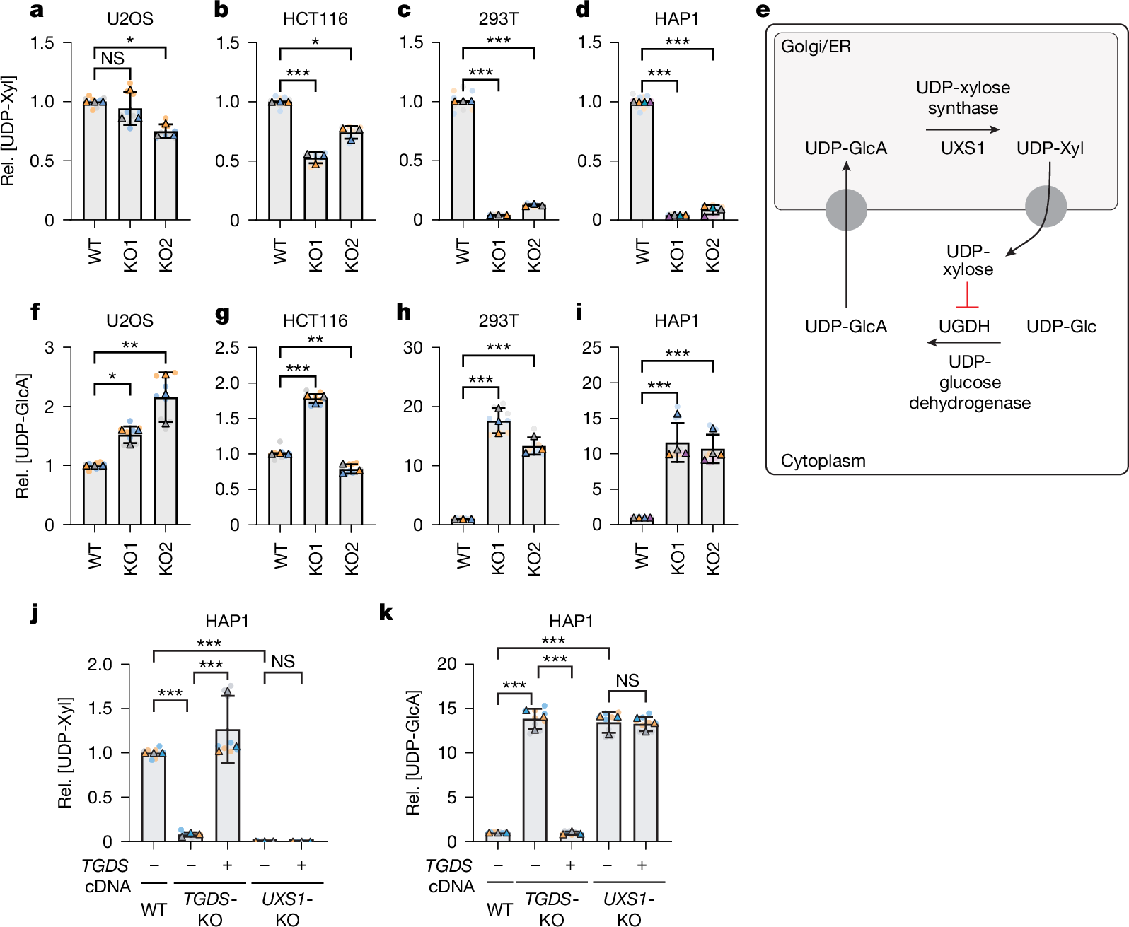 Wei_Lab_WISC's tweet card. Nature - In mammals, the enzyme TGDS produces UDP-4-keto-6-deoxyglucose, which binds to the catalytic pocket of UDP-xylose synthase, thereby regenerating the essential NAD+ cofactor of UDP-xylose...
