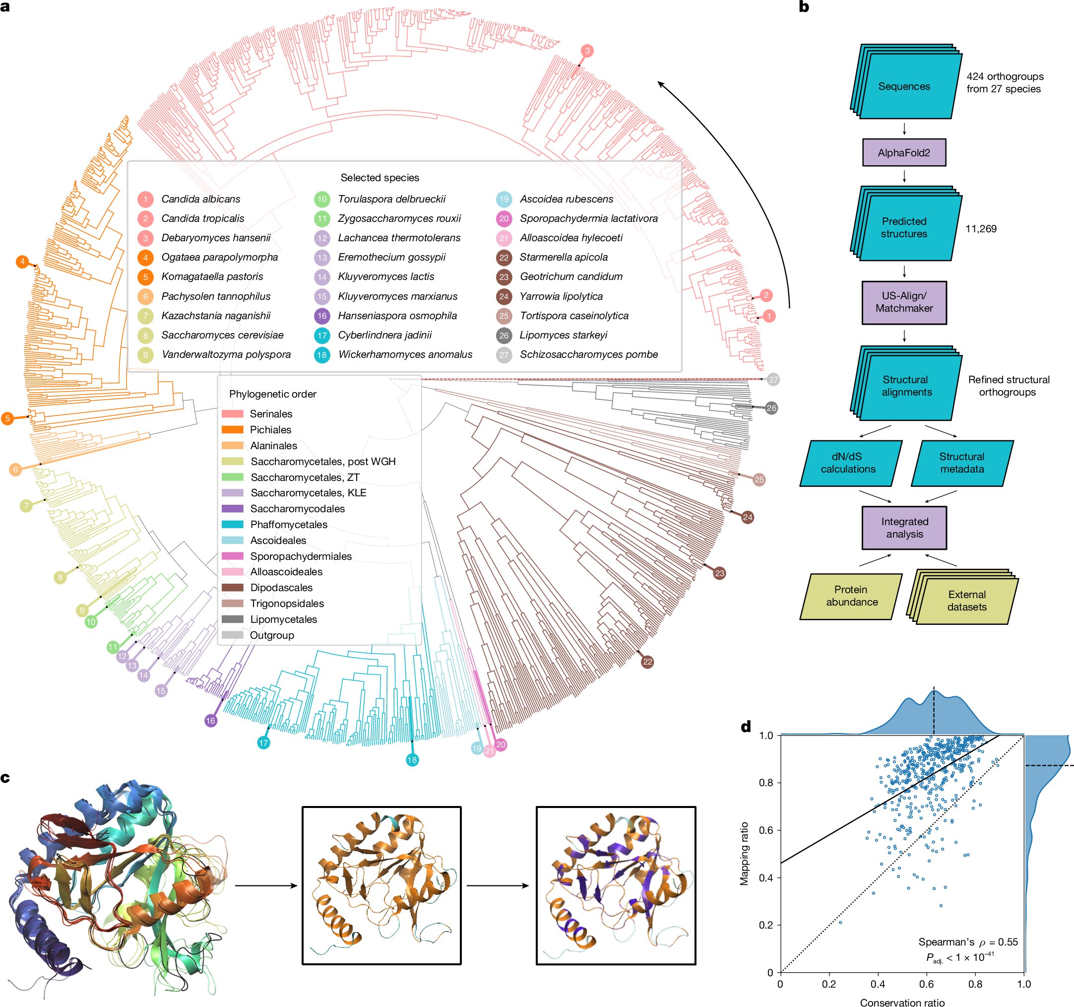 Wei_Lab_WISC's tweet card. Nature - By combining structural biology and evolutionary genomics analyses, the evolution of enzymes over 400 million years is shown to be governed by catalytic function, metabolic network...