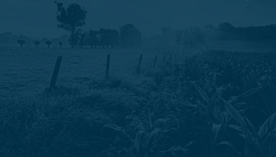 Image for twitter card