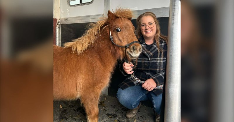 Tweet card summary image