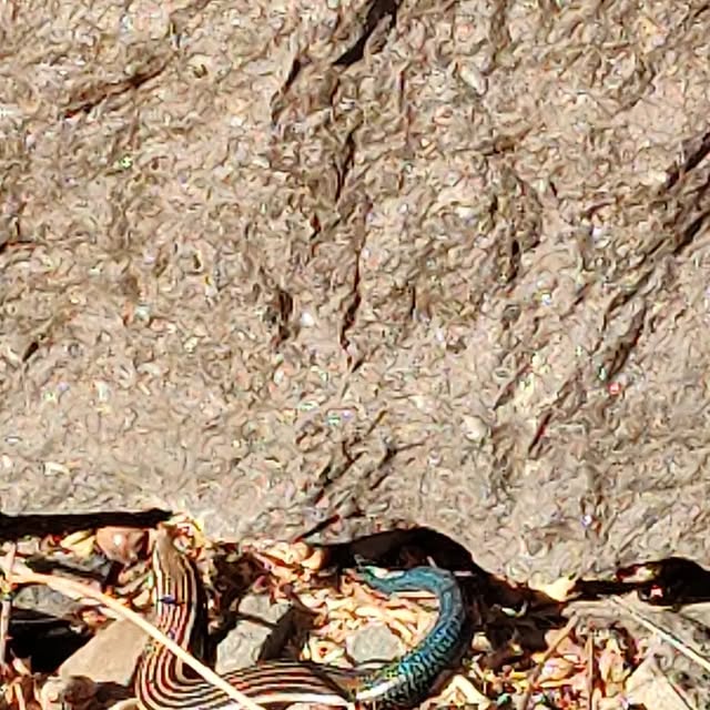 LadyLowcode's tweet card. Marjolein Pordon (@ladylowcode) • Instagram photo