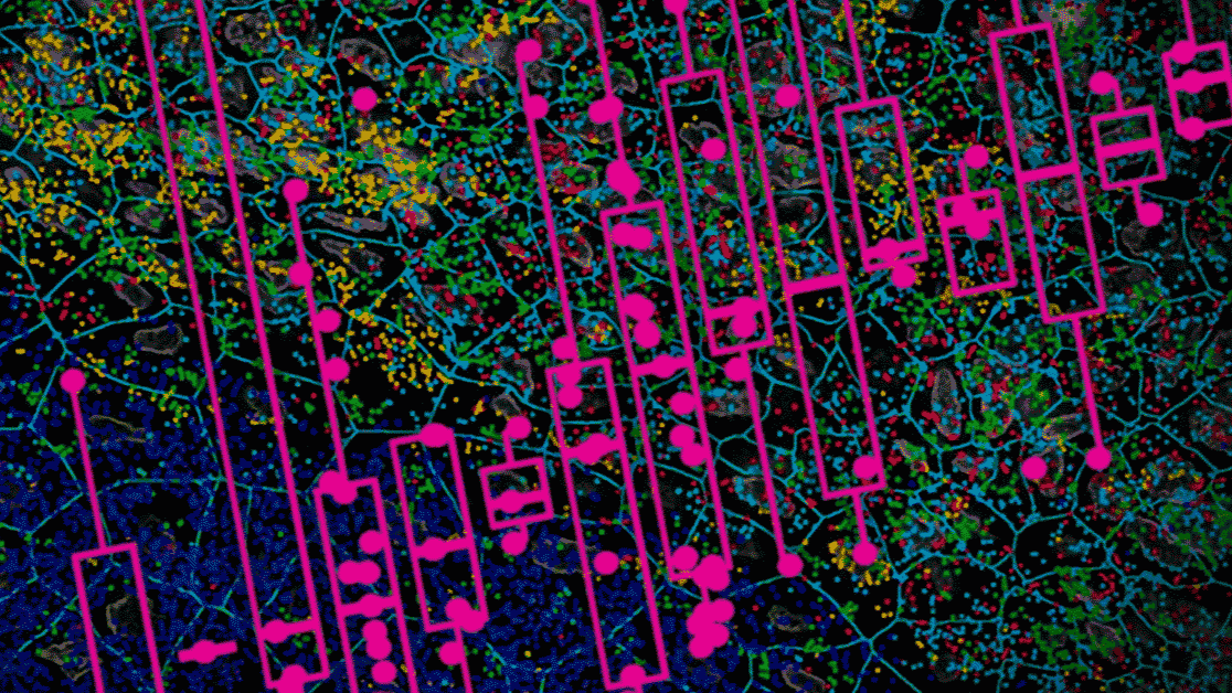 BrantBassamPhD's tweet card. There are questions in Spatial Transcriptomics (ST) that come up time and again. Questions like “shouldn’t there be more genes expressing?,” “is the level of expression too low to be useful?,” and...