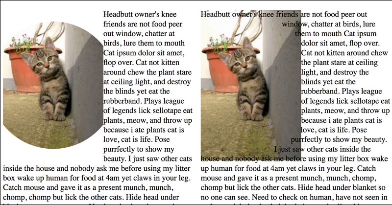 Tweet card summary image