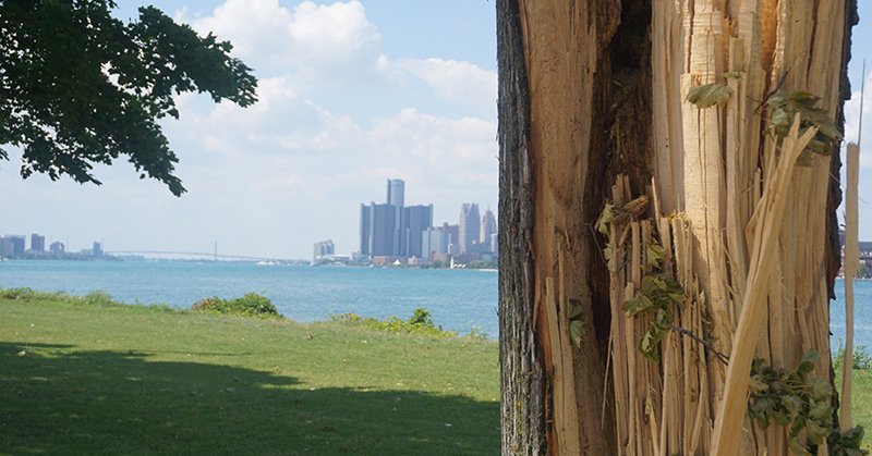 Tweet card summary image