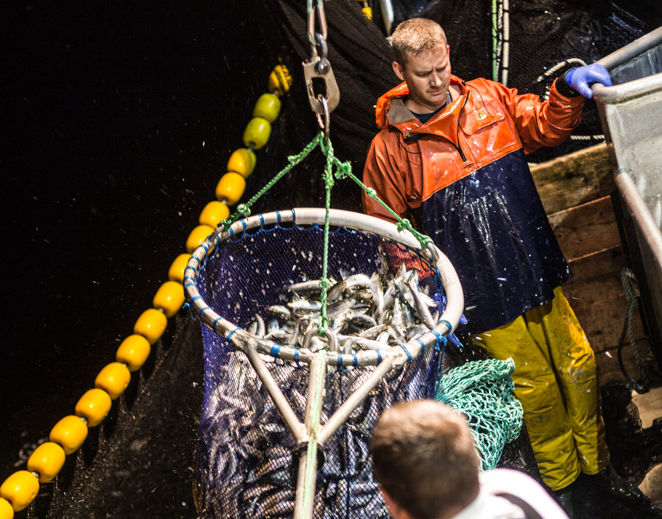 nipclaw's tweet card. The acquisition fuels the company's drive to hit £100m in revenue by 2030