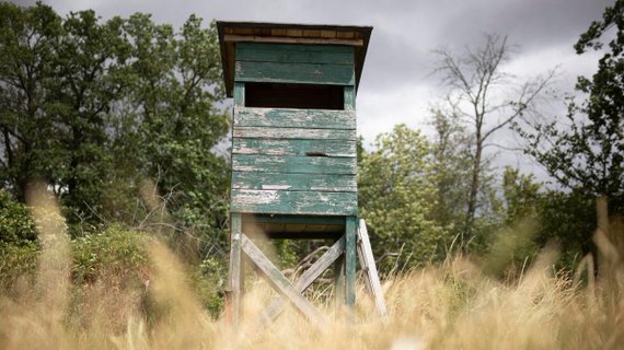 Image for twitter card