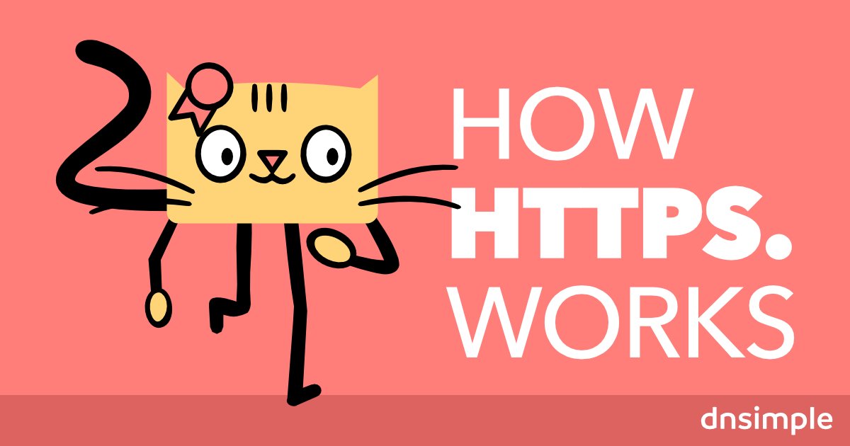dnsimple's tweet card. 🙀 A cat explains how HTTPS works...in a comic! 😻