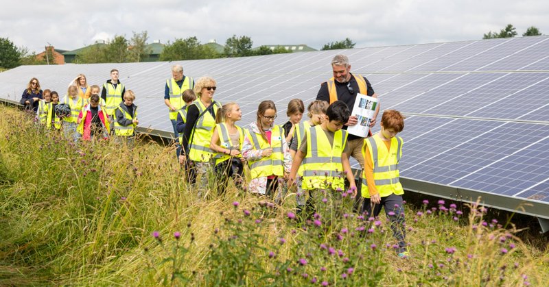 Tweet card summary image