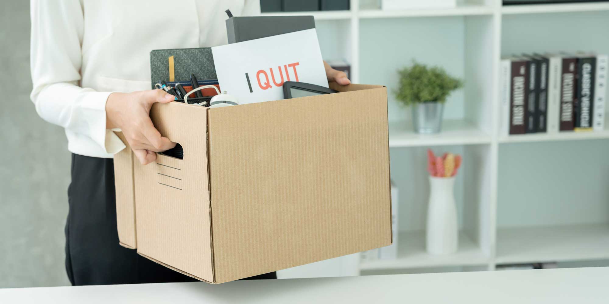 granitecoder's tweet card. : Long-time contributor Ellen Dash steps down after GitHub access shake-up and governance dispute