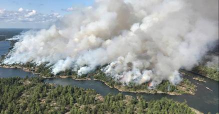 Tweet card summary image