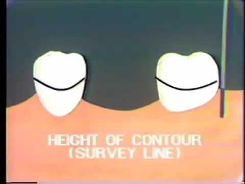 bigpythan's tweet card. What Is Surveying?