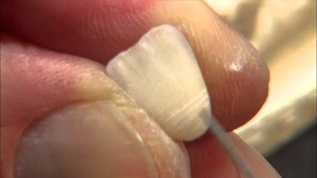 bigpythan's tweet card. idd 2014 HD 720p youtube