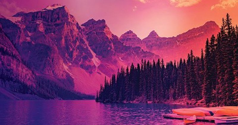 Tweet card summary image