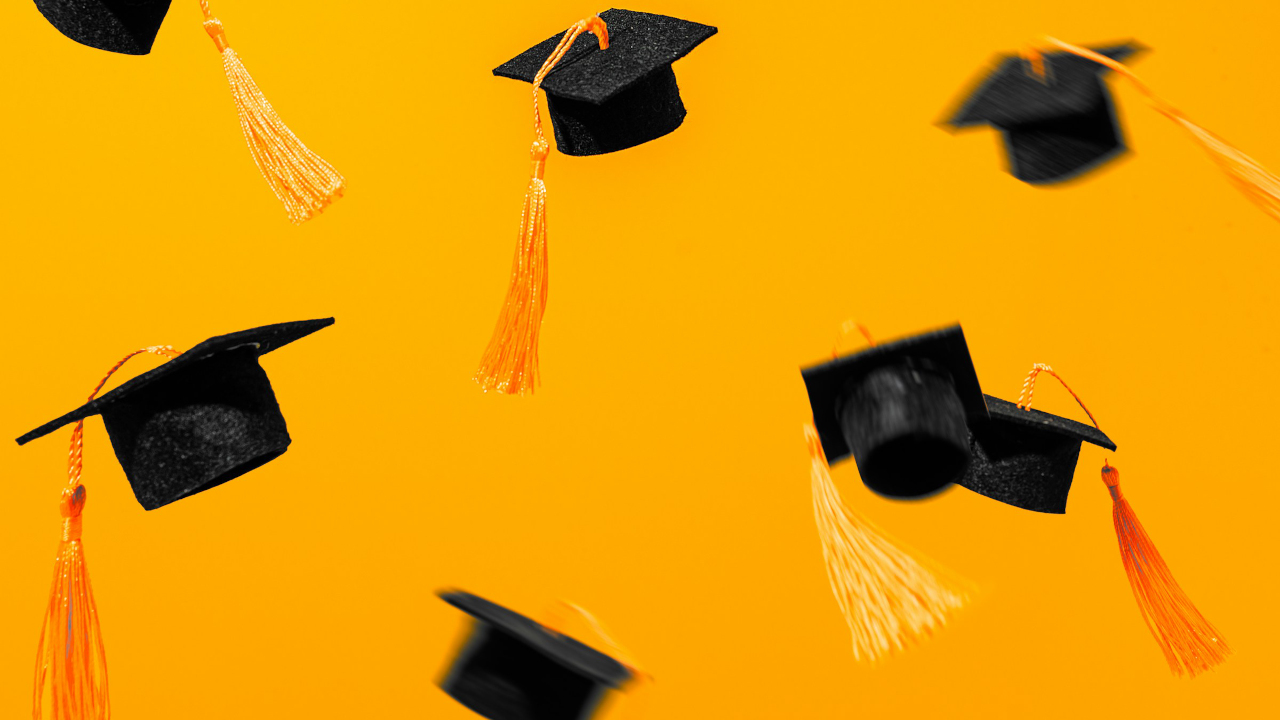 plainJavaScript's tweet card. Instead of starting with a framework, smart frontend developers now begin with HTML and enhance it progressively with JavaScript.