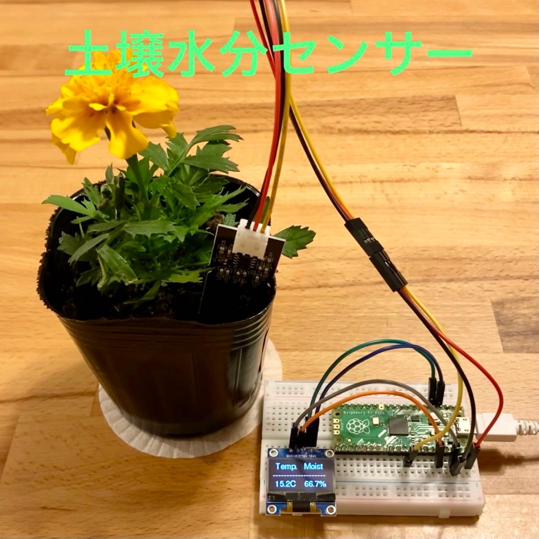 teatree18841627's tweet card. 【新品】Raspberry Pi Pico2W 土壌水分センサー 電子工作をメルカリでお得に通販、誰でも安心して簡単に売り買いが楽しめるフリマサービスです。新品/未使用品も多数、支払いはクレジットカード・キャリア決済・コンビニ・銀行ATMが利用可能で、品物が届いてから出品者に入金される独自システムのため安心です。